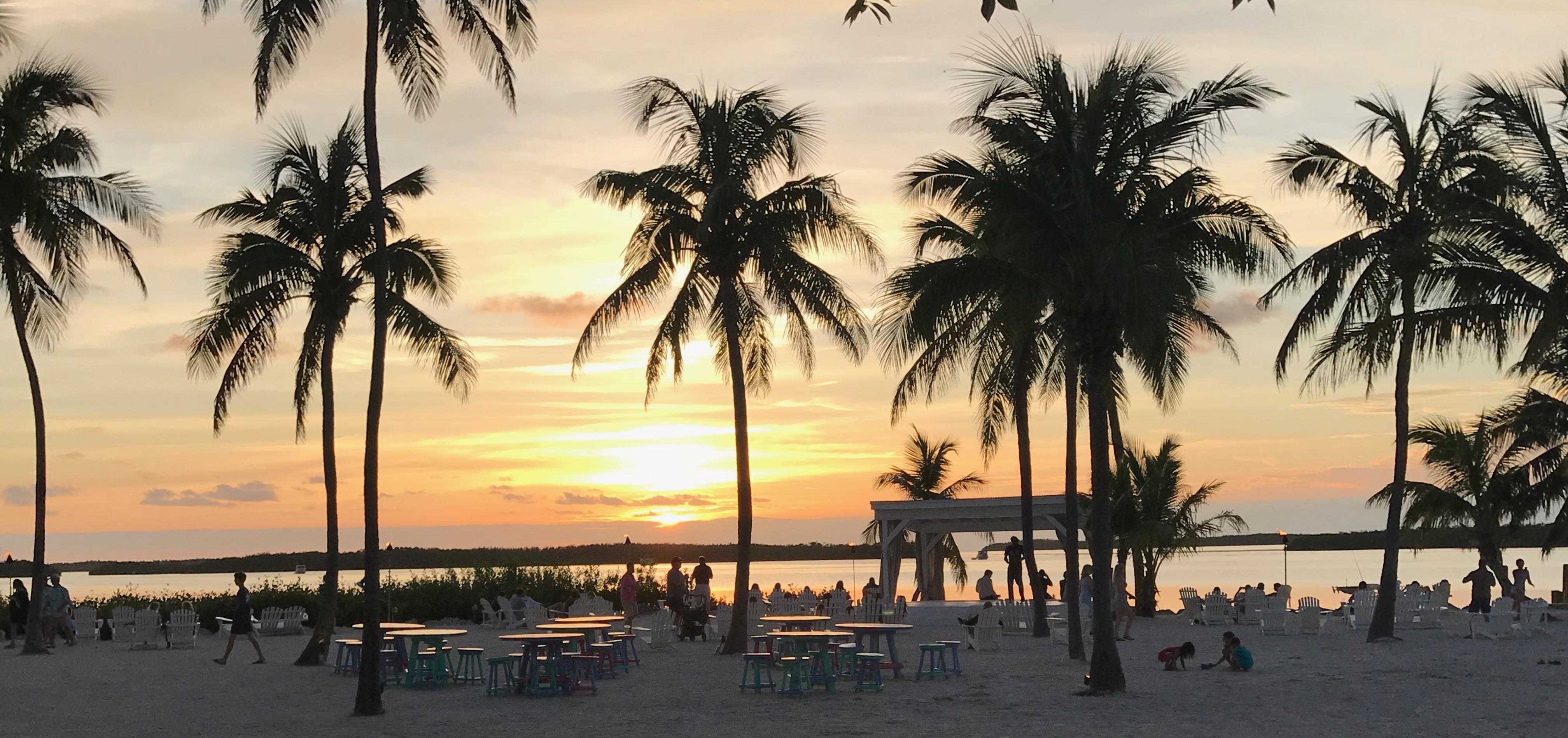 Connect with Nature in The Florida Keys